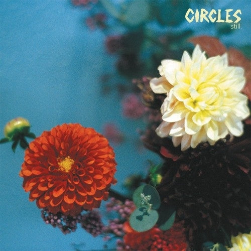|  Vinyl LP | Circles - Still (LP) | Records on Vinyl