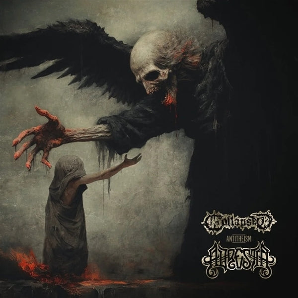 |  Vinyl LP | Adrestia & Collapsed - Split (LP) | Records on Vinyl