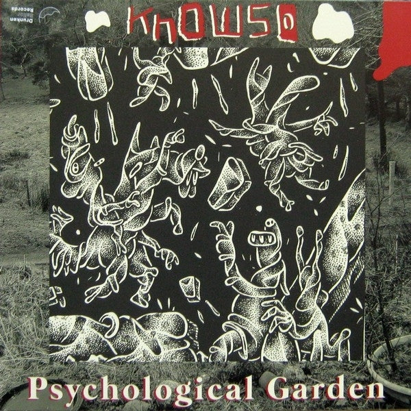 |  Vinyl LP | Knowso - Psychological Garden & Rare Auld Trip (LP) | Records on Vinyl