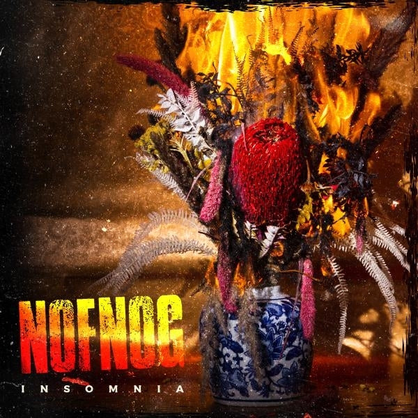 |  Vinyl LP | Nofnog - Insomnia (LP) | Records on Vinyl