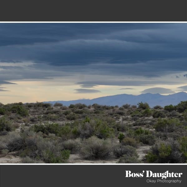 |  7" Single | Boss' Daughter - Okay Photography (Single) | Records on Vinyl