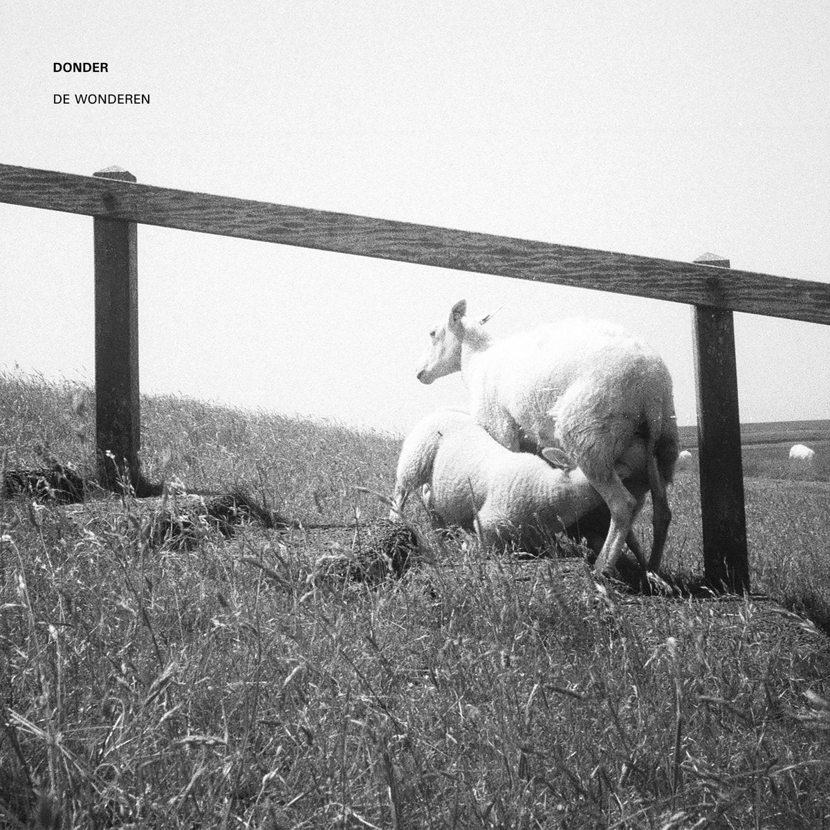 Donder - De Wonderen (LP)