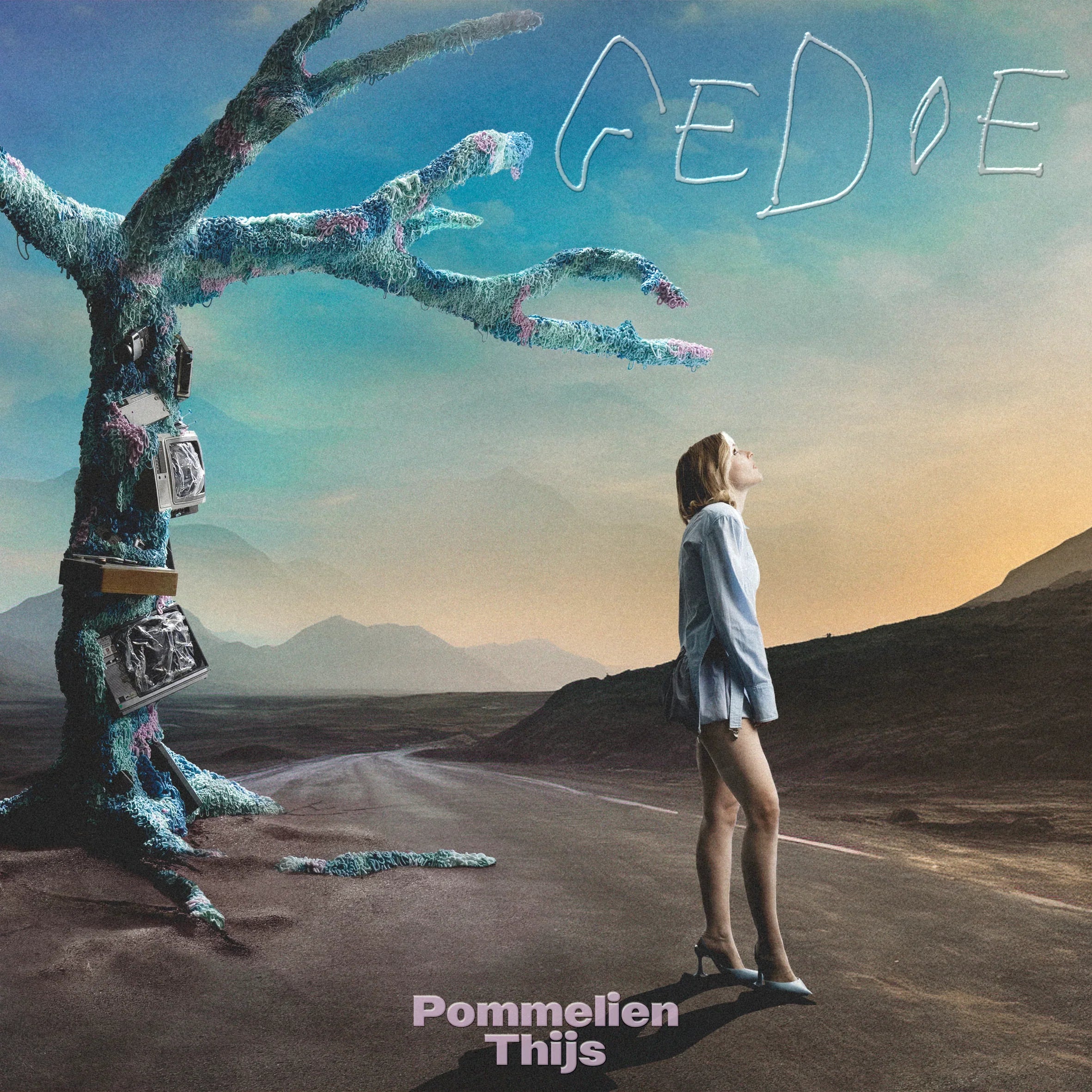 |  Vinyl LP | Pommelien Thijs - Gedoe (LP) | Records on Vinyl