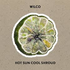 |  Vinyl LP | Wilco - Hot Sun Cool Shroud (LP) | Records on Vinyl
