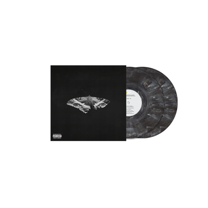 | Vinyl LP | Kendrick Lamar - To Pimp a Butterfly (2 LPs) | Records on Vinyl