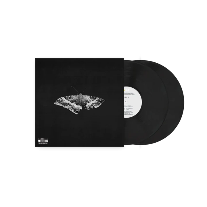 | Vinyl Lp | Kendrick Lamar - To Pimp a Butterfly (2 LPs) | Records on Vinyl