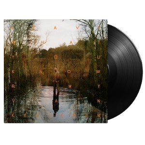 | | Remy Van Kesteren - Leave What You Know (LP) | Records on Vinyl