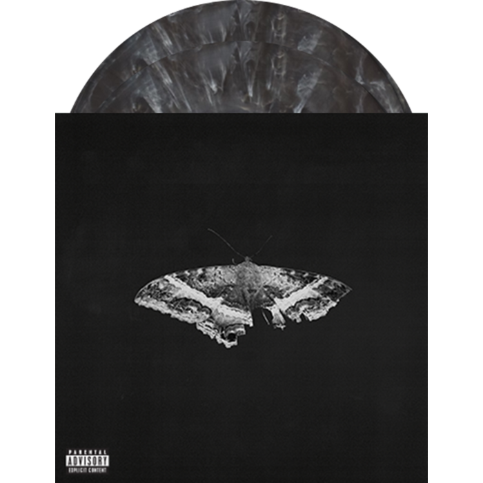 | Vinyl LP | Kendrick Lamar - To Pimp a Butterfly (2 LPs) | Records on Vinyl