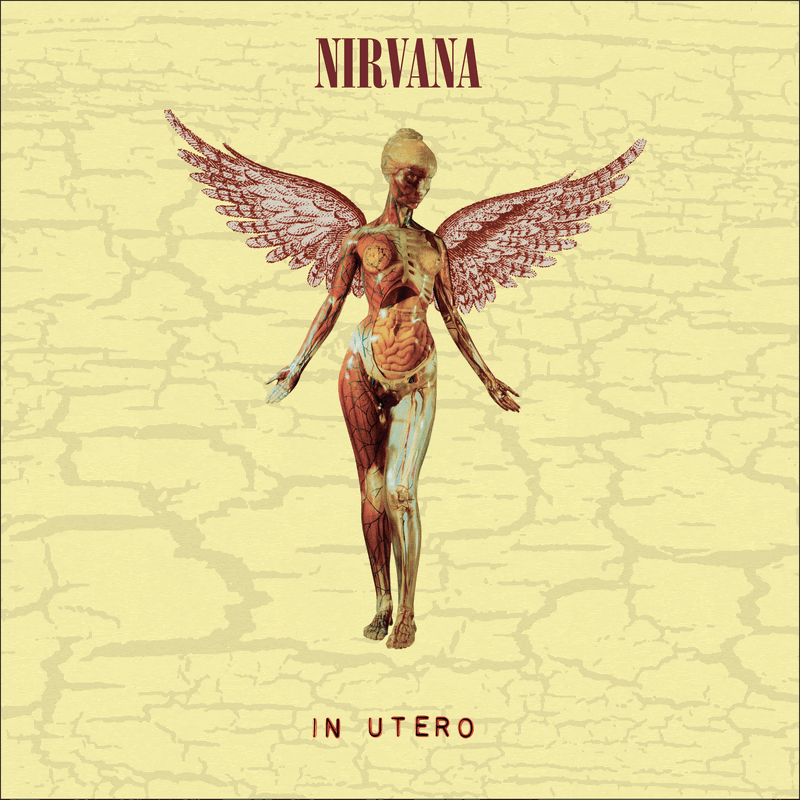| Vinyl LP | Nirvana - In Utero (8 LPs) | Records on Vinyl