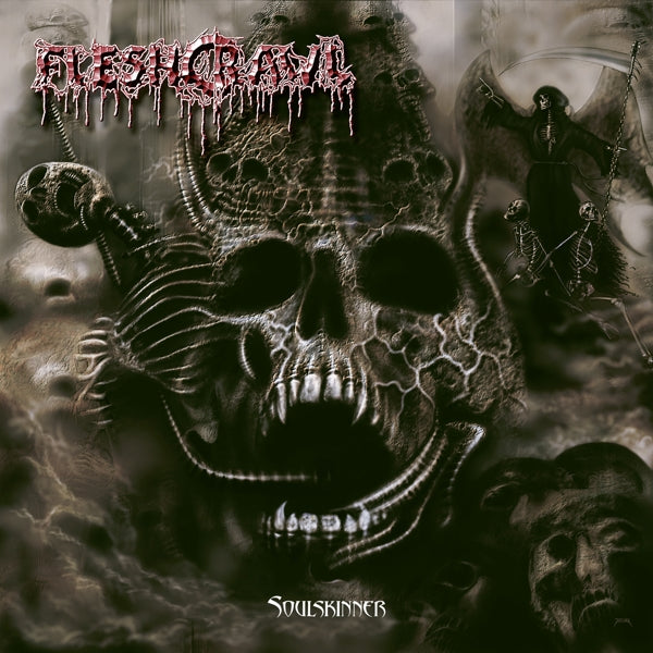 |  Vinyl LP | Fleshcrawl - Soulskinner (LP) | Records on Vinyl