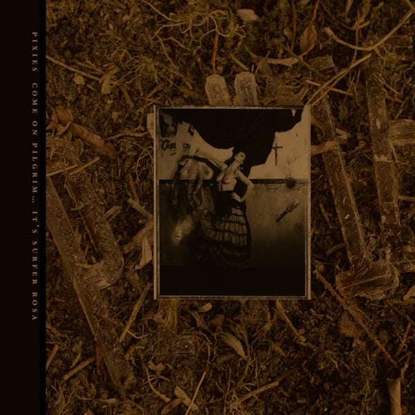 Pixies - C'mon..  |  Vinyl LP | Pixies - C'mon Pilgrim...It's Surfer Rosa (3 LPs) | Records on Vinyl