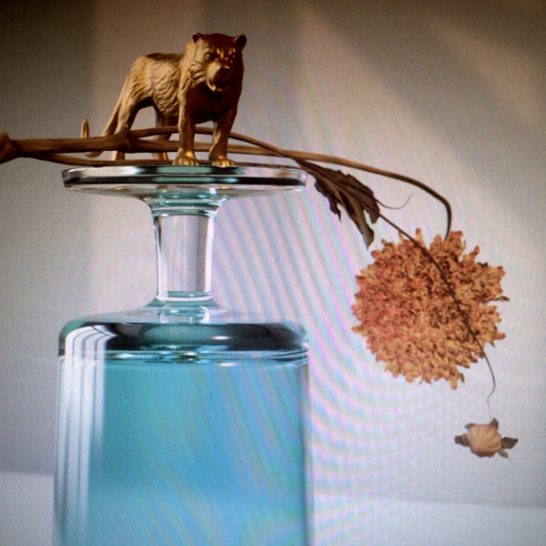 Beirut - Gallipoli | Vinyl LP | Beirut - Gallipoli (Coloured Vinyl Edition) (LP) | Records on Vinyl