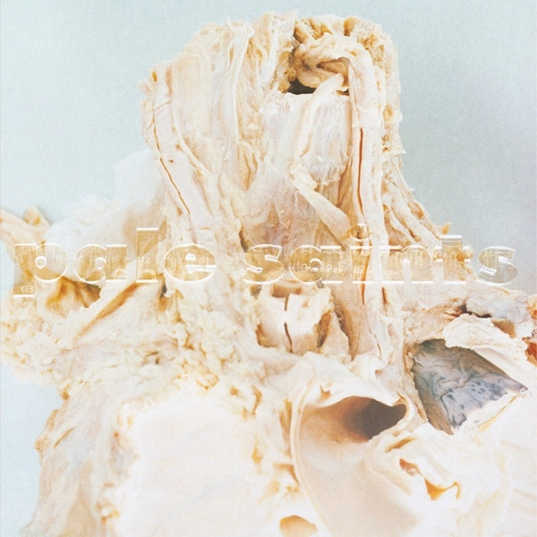 |  Vinyl LP | Pale Saints - In Ribbons (LP) | Records on Vinyl