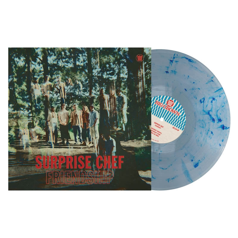 |  Vinyl LP | Surprise Chef - Friendship (LP) | Records on Vinyl
