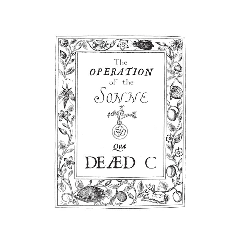 |  Vinyl LP | Dead C - Operation of the Sonne (LP) | Records on Vinyl