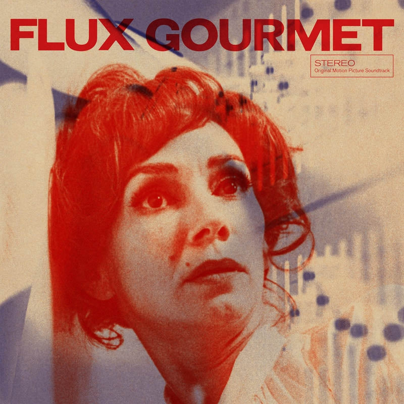 |  Vinyl LP | V/A - Flux Gourmet (2 LPs) | Records on Vinyl