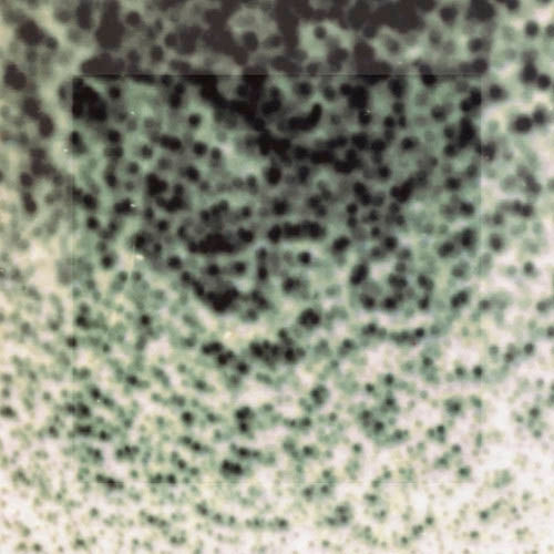 Marble Sky - Marble Sky |  Vinyl LP | Marble Sky - Marble Sky (2 LPs) | Records on Vinyl