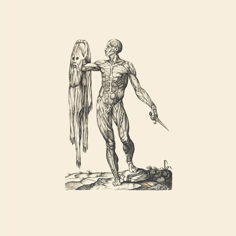 Lawrence English - Observation Of Breath |  Vinyl LP | Lawrence English - Observation of Breath (LP) | Records on Vinyl