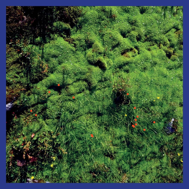 |  Vinyl LP | Matthias Puech - Mt. Hadamard National Park (LP) | Records on Vinyl