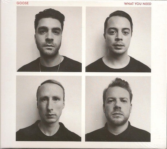|  Vinyl LP | Goose - What You Need (LP) | Records on Vinyl