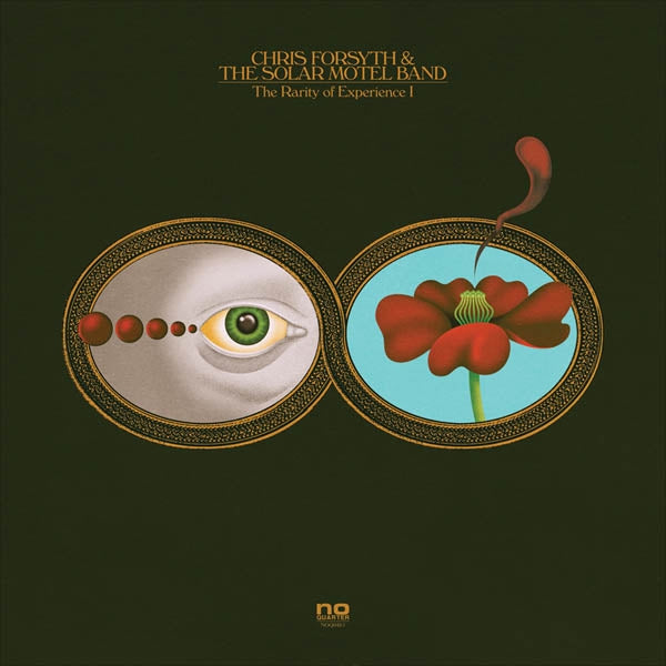 Chris Forsyth - Rarity Of Experience |  Vinyl LP | Chris Forsyth - The Rarity of Experience (2 LPs) | Records on Vinyl