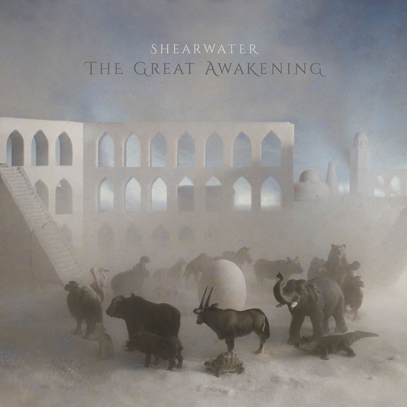 |  Vinyl LP | Shearwater - The Great Awakening (2 LPs) | Records on Vinyl