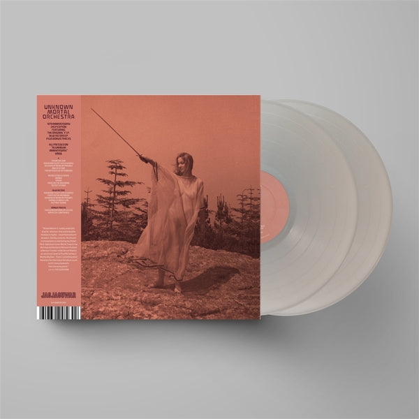 |   | Unknown Mortal Orchestra - Ii (2 LPs) | Records on Vinyl