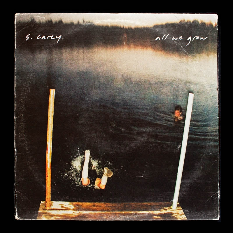 |  Vinyl LP | S. Carey - All We Grow (LP) | Records on Vinyl