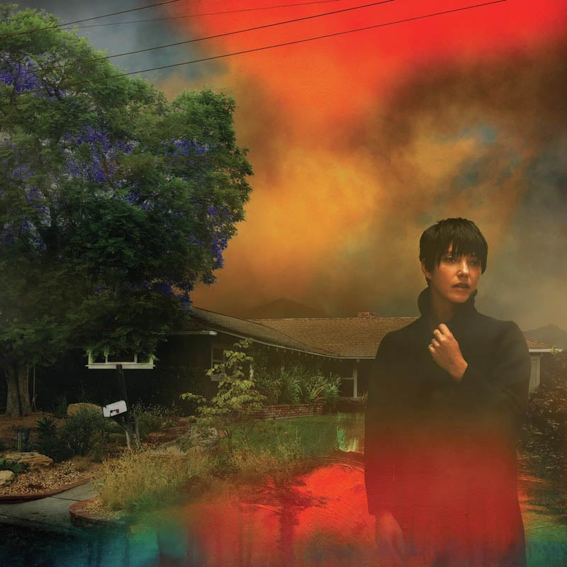 |  Vinyl LP | Sharon Van Etten - We've Been Going About This All Wrong (LP) | Records on Vinyl