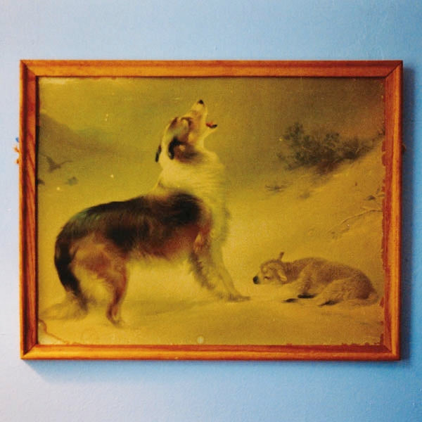 |  Vinyl LP | Explosions In the Sky - Rescue (LP) | Records on Vinyl