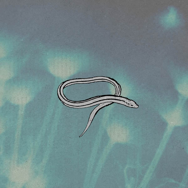 Crooked Fingers - Bring On The..  |  Vinyl LP | Crooked Fingers - Bring On the Snakes (LP) | Records on Vinyl