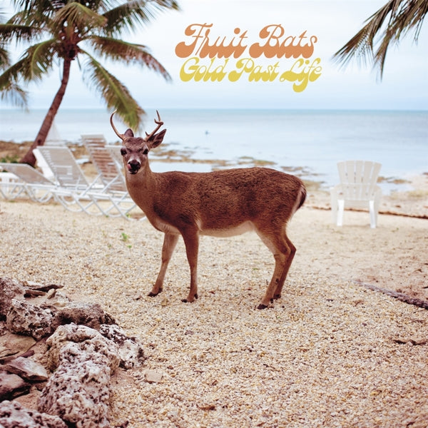 |  Vinyl LP | Fruit Bats - Gold Past Life (LP) | Records on Vinyl