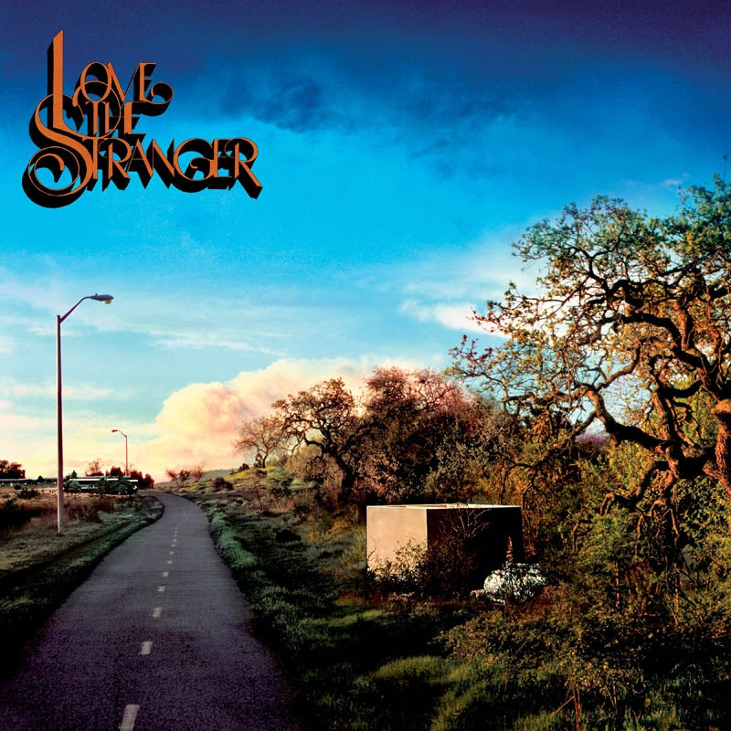 |  Vinyl LP | Friendship - Love the Stranger (LP) | Records on Vinyl