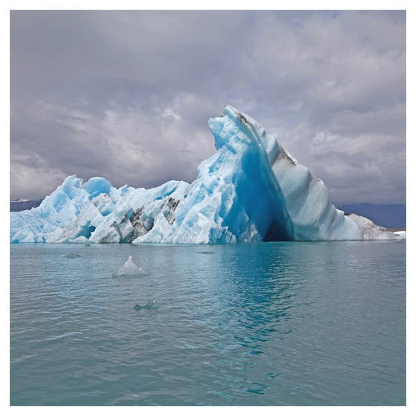 |  Vinyl LP | Surfer Blood - Snowdonia (LP) | Records on Vinyl