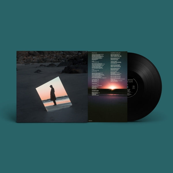 |  Vinyl LP | Beth Orton - Weather Alive (LP) | Records on Vinyl