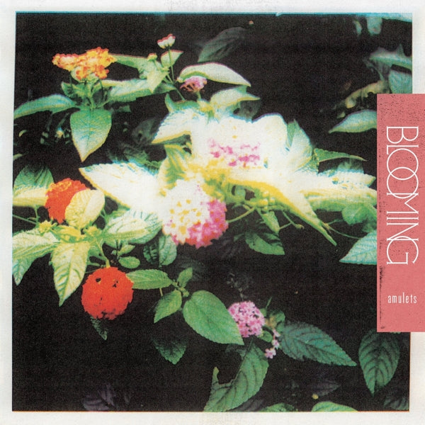 |  Vinyl LP | Amulets - Blooming (LP) | Records on Vinyl