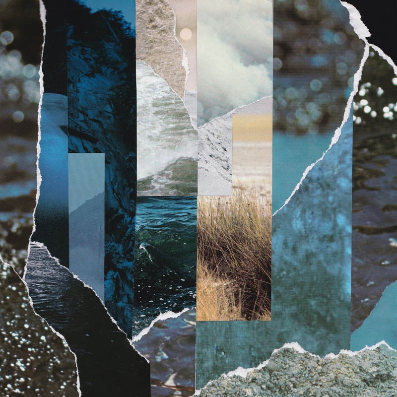 |  Vinyl LP | Cremation Lily - Dreams Drenched In Static (LP) | Records on Vinyl