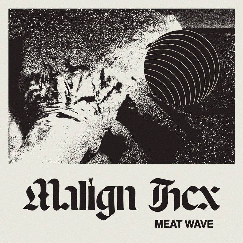 |  Vinyl LP | Meat Wave - Malign Hex (LP) | Records on Vinyl