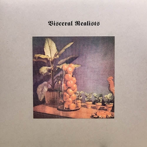 Bruce Russell & Luke Woo - Visceral Realists |  Vinyl LP | Bruce & Luke Wood Russell - Visceral Realists (LP) | Records on Vinyl