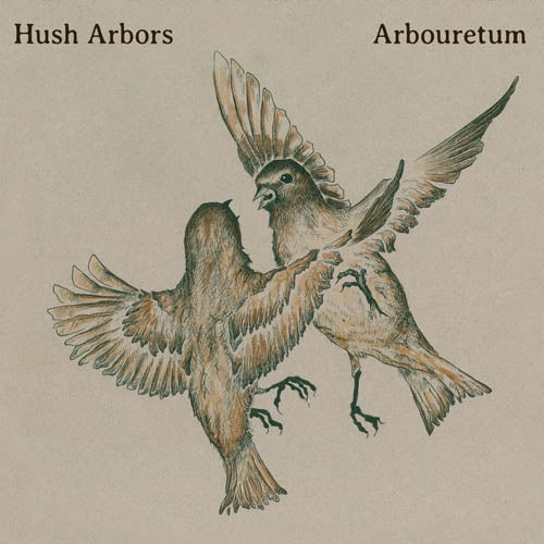 Hush Arbors/Arbouretum - Aureola |  Vinyl LP | Hush Arbors - Aureola (LP) | Records on Vinyl