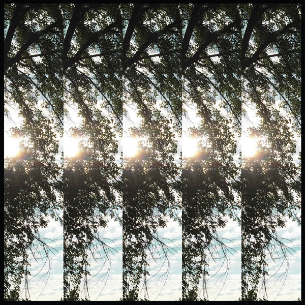 Pontiak - Dialectic Of Ignorence |  Vinyl LP | Pontiak - Dialectic of Ignorence (LP) | Records on Vinyl