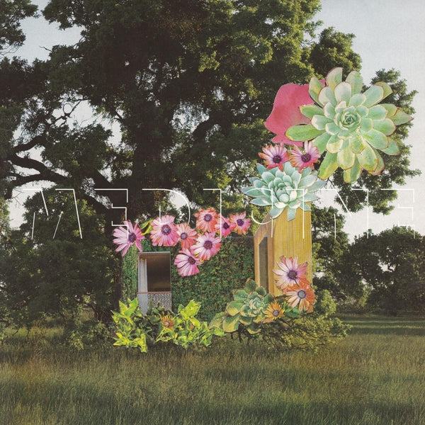 Medicine - Home Everywhere |  Vinyl LP | Medicine - Home Everywhere (LP) | Records on Vinyl