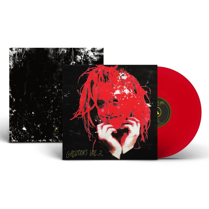 |  Vinyl LP | Caleb Landry Jones - Gadzooks Vol. 2 (LP) | Records on Vinyl