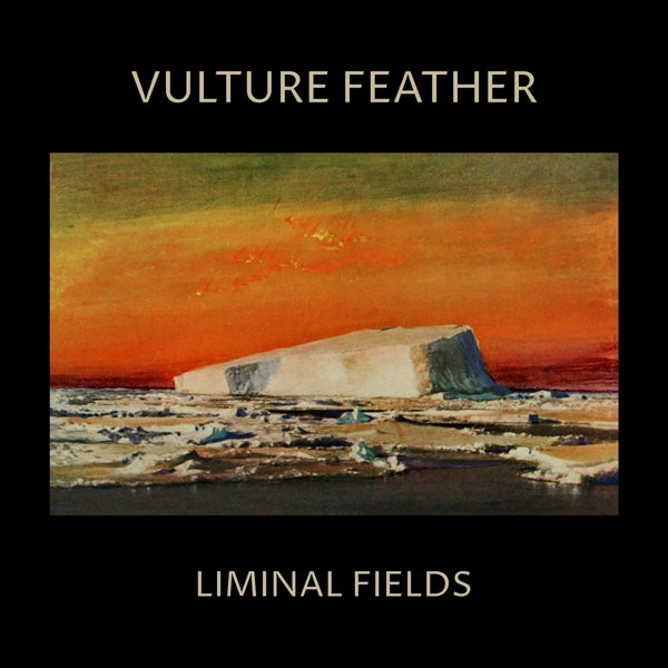 |  Vinyl LP | Vulture Feather - Liminal Fields (Bone) (LP) | Records on Vinyl