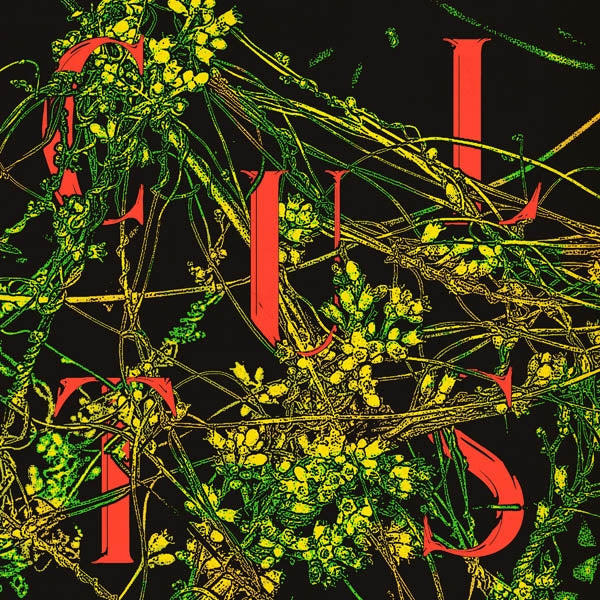 |  Vinyl LP | Cults - Host (LP) | Records on Vinyl