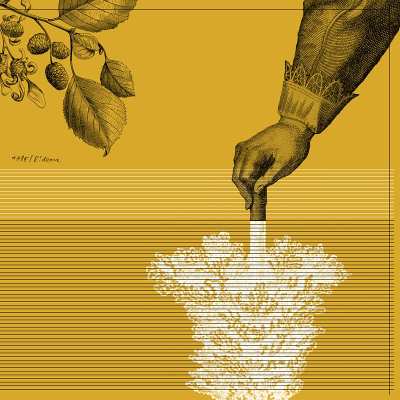 |  Vinyl LP | Tape - Rideau (LP) | Records on Vinyl