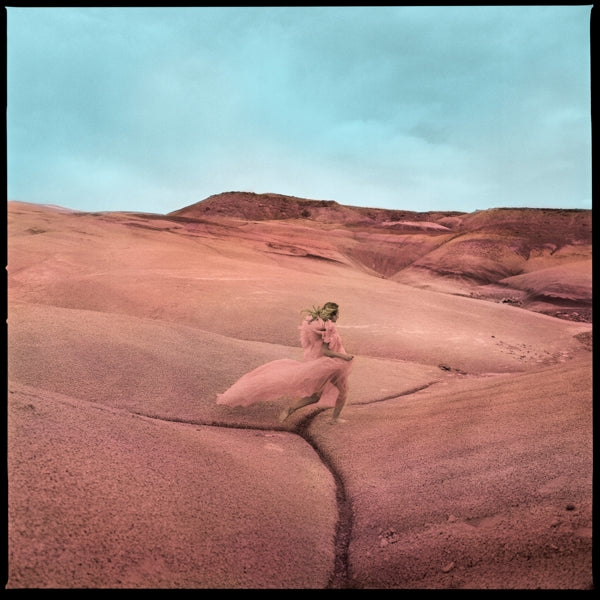 |  Vinyl LP | Margo Price - Strays (LP) | Records on Vinyl