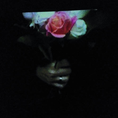 Paper Dollhouse - Aeonflower |  Vinyl LP | Paper Dollhouse - Aeonflower (LP) | Records on Vinyl