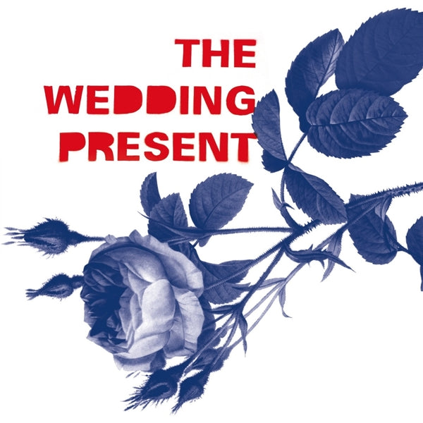 |  Vinyl LP | Wedding Present - Tommy 30 (2 LPs) | Records on Vinyl