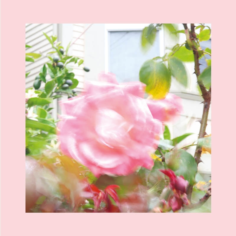 |  Vinyl LP | Pinks and Purples Reds - Summer At Land's End (LP) | Records on Vinyl